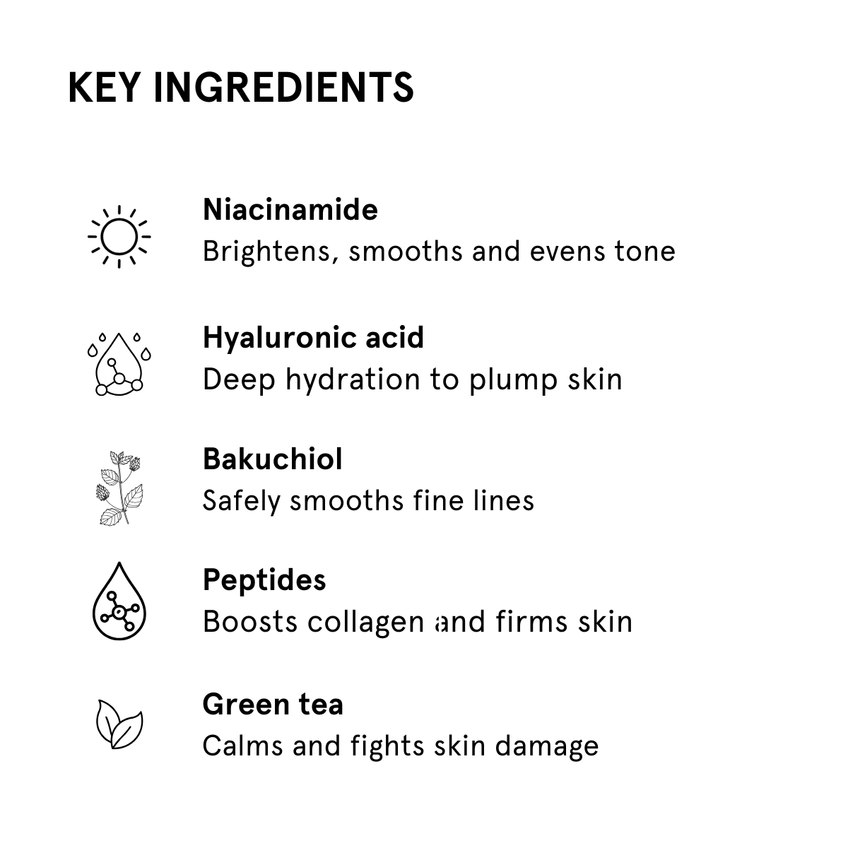 List of key ingredients with icons and descriptions on a white background